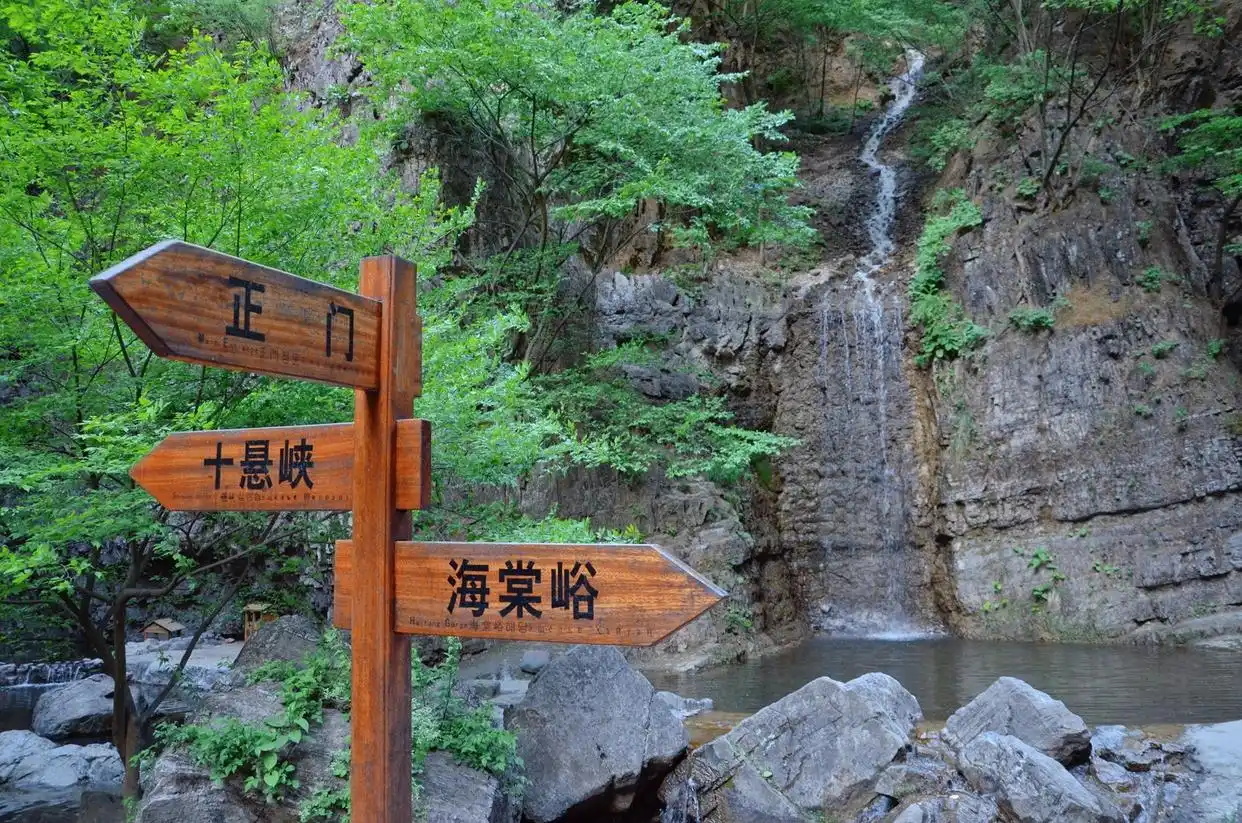 e850352ac65c103853331f56b99ee11cb17e8977_看图王_看图王.jpg