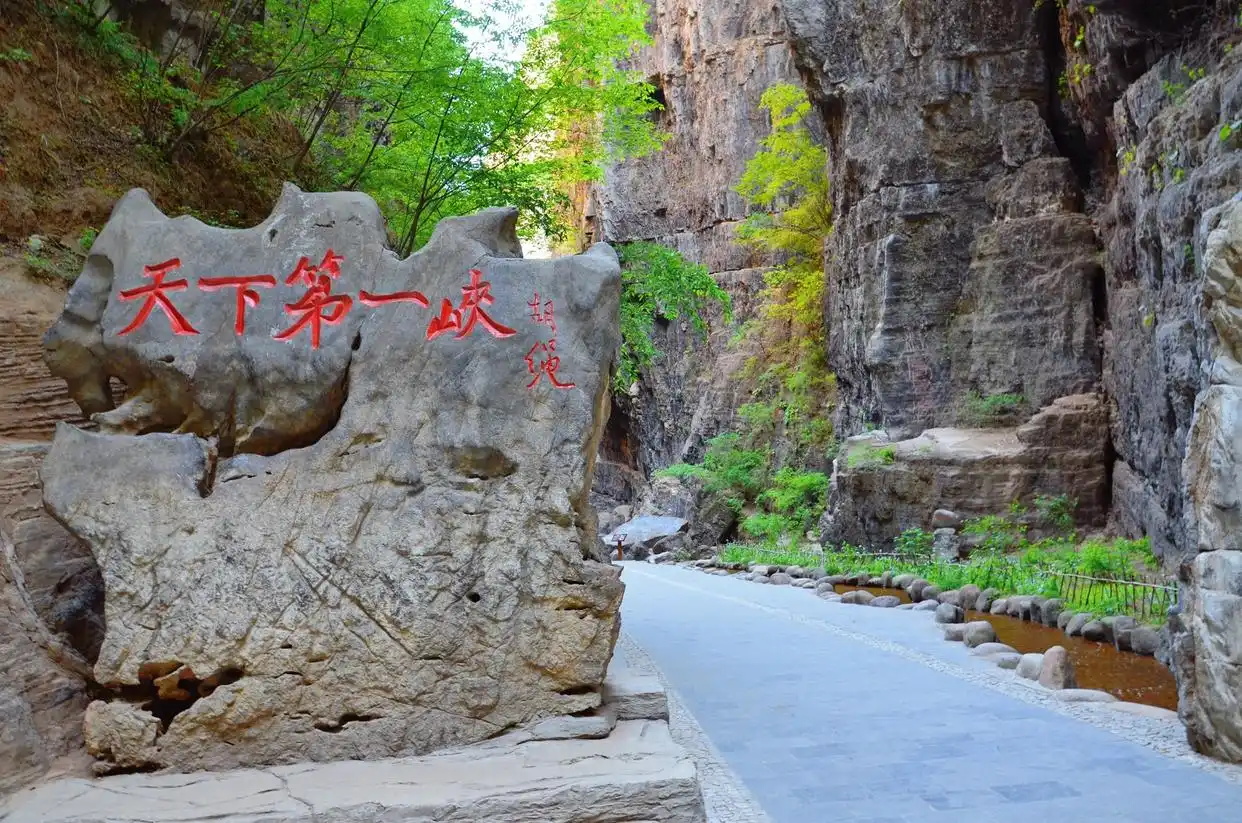 9825bc315c6034a8027b4f6bc79c3b5b0b2376d9_看图王.jpg
